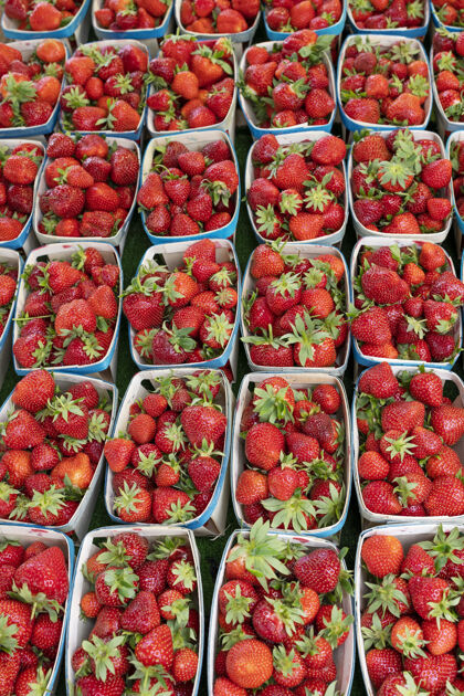 纤维法国市场上的草莓黄瓜生物配料