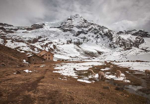 美丽秘鲁美丽的白雪皑皑的奥桑加特山的壮丽景色惊人徒步旅行岩石