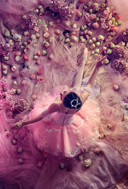珊瑚俯瞰美丽的年轻女子在粉红色芭蕾舞团图图周围的鲜花模特年轻优雅