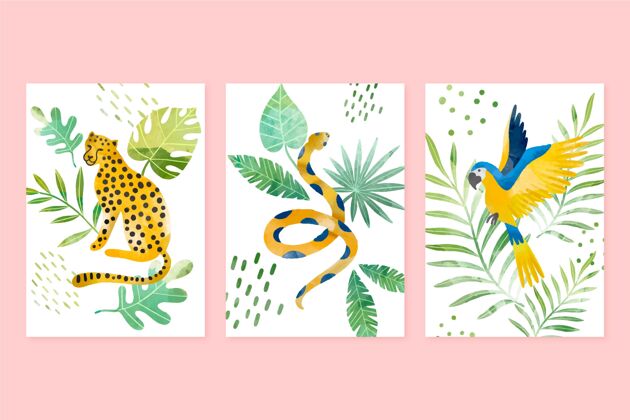包装手绘水彩画野生动物封面收藏立式野生动物