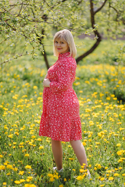 花园美丽的孕妇穿着红裙子在公园里放松爱日落打击