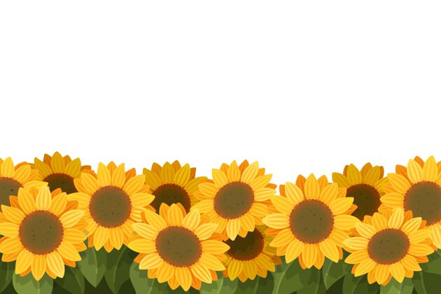 花平面设计向日葵边界复制空间花花瓣向日葵