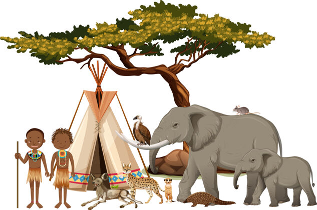 食肉动物非洲部落有一群野生的非洲动物在白色环境森林狩猎