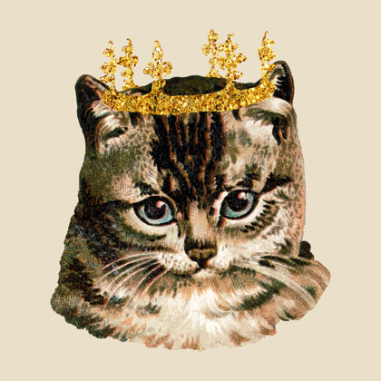 王座戴着闪亮王冠贴纸的猫猫可爱猫