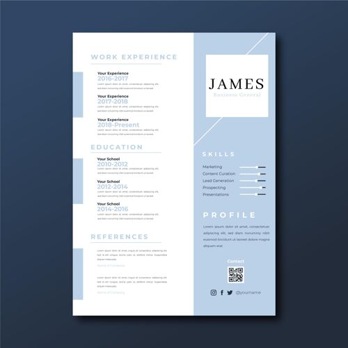 一般简约主义双色詹姆斯简历商务通用信息图信息图表商业信息图表模板