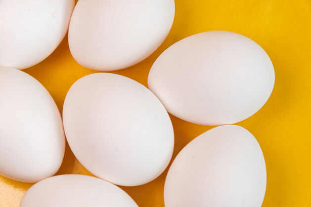 营养黄色表面上有鸡蛋动物蛋简约简约