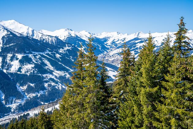 冷空中拍摄的滑雪胜地在雪下的阳光野云杉树