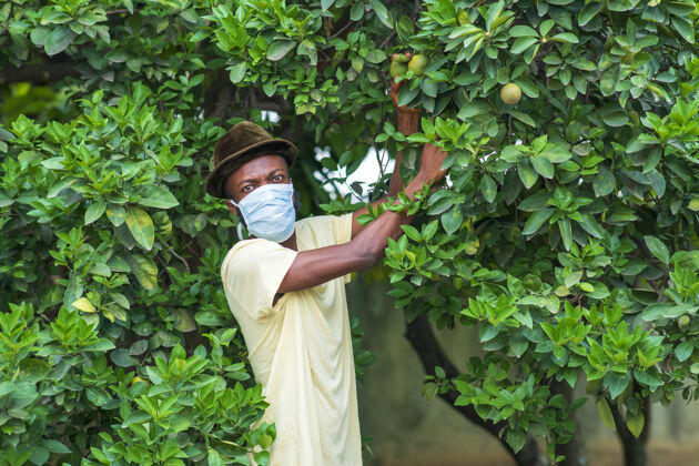 专业年轻的非洲裔美国男子戴着防护面罩在花园里工作安全全球人
