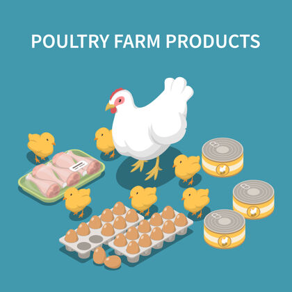 鸡家禽农产品等角图等距三维营养