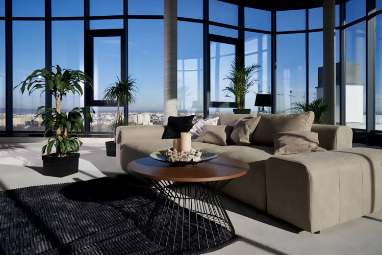家具现代化宽敞的房间 配有大型全景窗放松舒适花盆