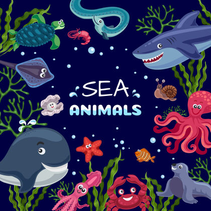 广场海洋植物动物有趣的水下生活方格架与微笑章鱼鲨鱼鲸鱼生活鲨鱼画面