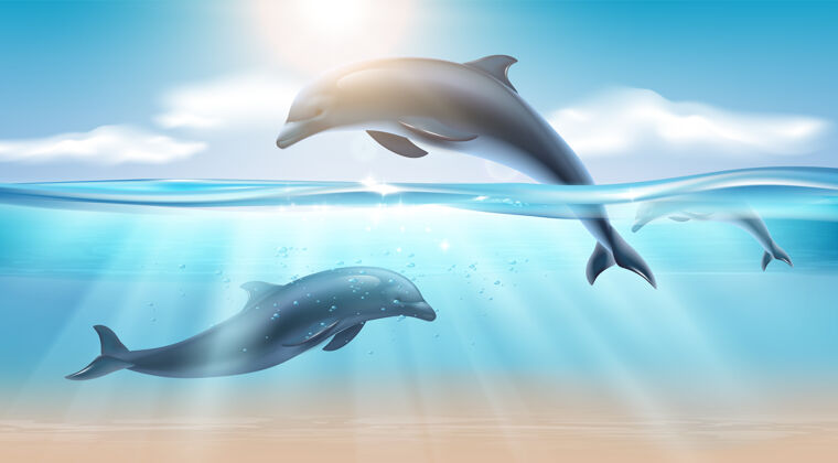 潜水在阳光的照耀下 在海水中跳跃海豚的航海写实作品海洋景观现实