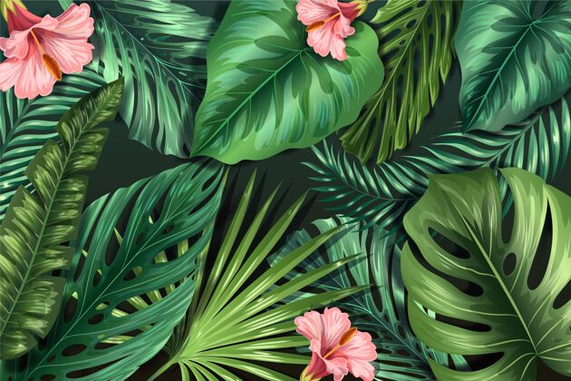 热带墙纸真实的热带树叶背景热带树叶背景热带树叶逼真的背景
