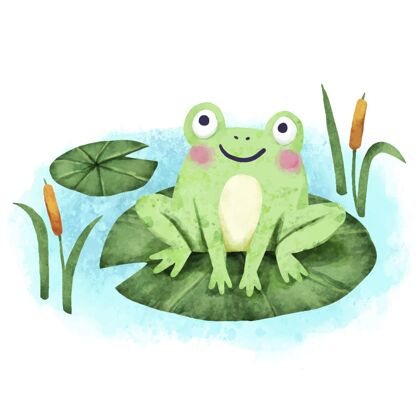 水彩画手绘可爱青蛙插图自然小动物