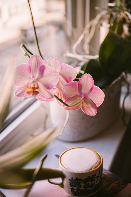 茶垂直拍摄的咖啡放在窗台上的花旁边花休息阅读