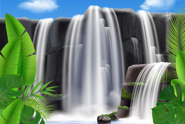 风景真实的热带瀑布与树叶插图岩石树叶异国情调