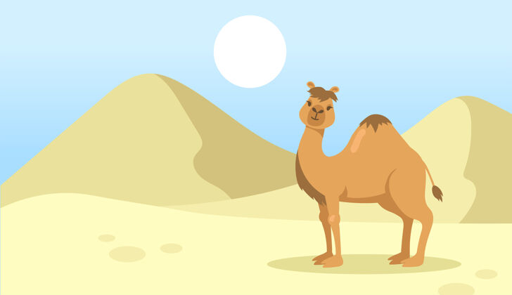 撒哈拉可爱的单峰骆驼在沙漠中行走大自然中的野生单峰骆驼卡通人物搞笑热明亮