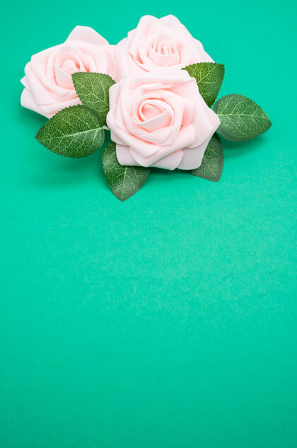 垂直垂直特写镜头粉红色玫瑰隔离在一个绿色的背景与复制空间花朵玫瑰自然