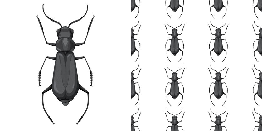 纸甲虫虫和无缝背景主题设置生活