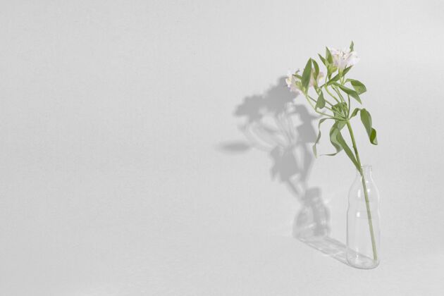 花在桌上的花瓶里开花花瓶叶花