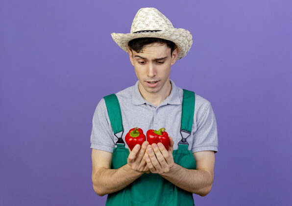 胡椒困惑的年轻男园丁戴着园艺帽 手持并看着红辣椒紫色空间花园