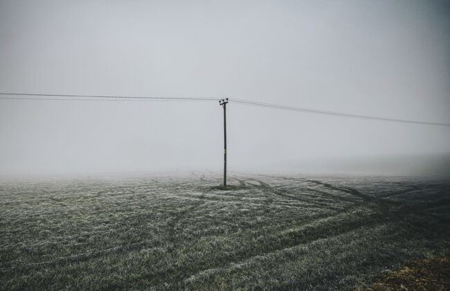 霜冻雾天里 冰霜的田野和电线杆视图花园电线