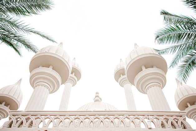 清真寺阳光明媚的棕榈树中 传统的伊斯兰清真寺传统神圣宗教