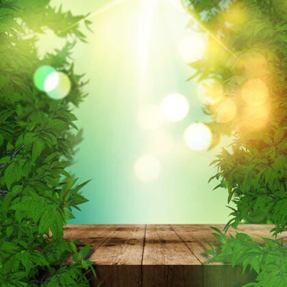 叶树叶和木桌的3d渲染显示背景灌木生态友好春天