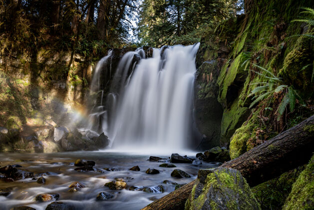 石头美丽的瀑布环绕着森林中的树木和植物小溪瀑布瀑布