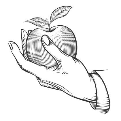 素描手工雕刻苹果苹果水果 自然 食品苹果新鲜 雕刻苹果树叶 古董素描有机 苹果人美味手