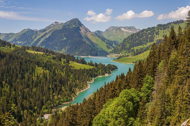 阿尔卑斯山美丽的风景湖环山在隆林湖和大坝瑞士 瑞士绿天蓝