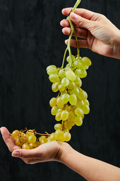 食物拿着一束新鲜的黑底白葡萄 高质量的照片串有机季节