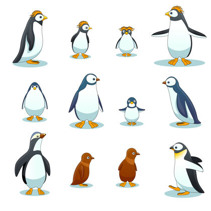 姿势企鹅角色在各种姿势向量集企鹅动物插图 卡通企鹅 冬季企鹅鸟设定动物北极