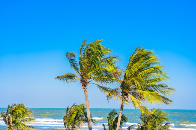 自然美丽的热带海滩 蓝天上有棕榈树的海洋棕榈天堂天空