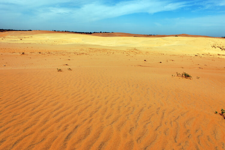 旅游阳光明媚的沙漠非洲炎热炎热