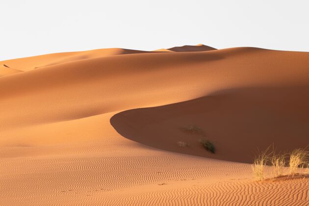 公园在一个阳光明媚的日子里 沙漠地区沙丘的美丽景色干旱炎热岩石