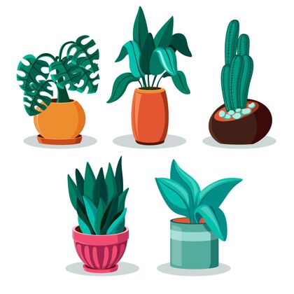 收藏有机平面设计室内植物系列植物收藏室内植物有机平面设计
