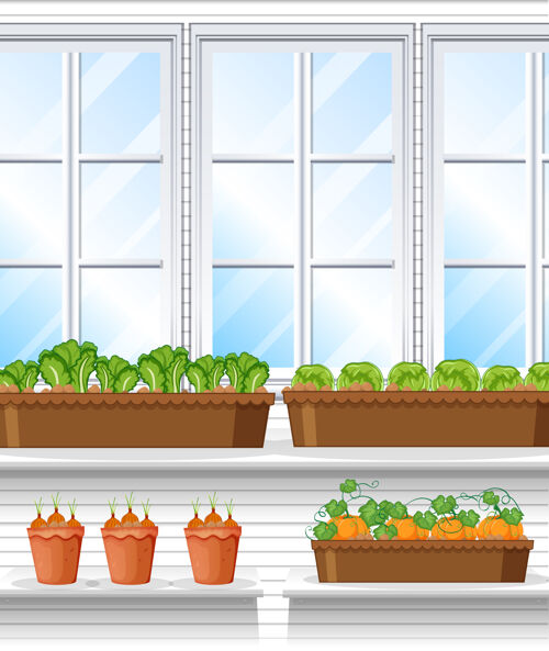 建筑植物与植物的窗口背景场景新鲜蔬菜风景
