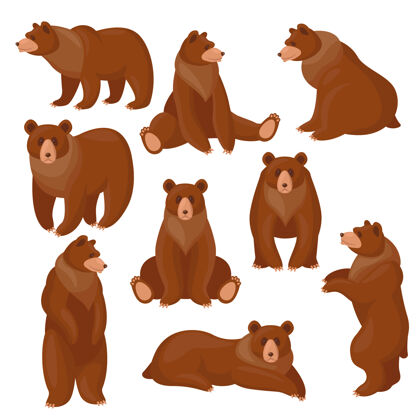 收集棕熊集合谎言野生森林