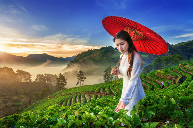 田野泰国清迈多昂康草莓园 一位穿着越南传统文化服装的亚洲妇女雾越南穿