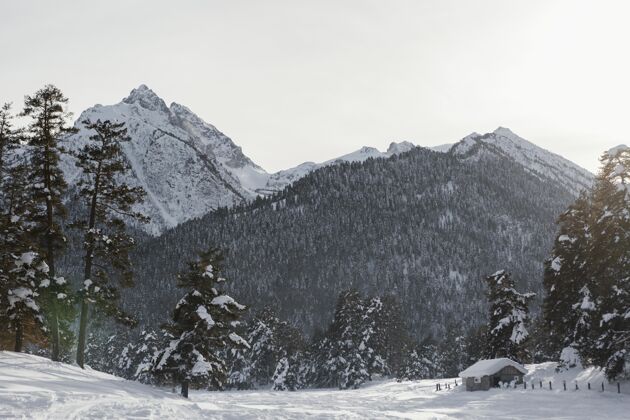 旅行美丽的冬季风景山雪风景