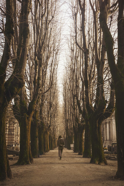 白天白天在光秃秃的树旁散步的女人散步女人树枝