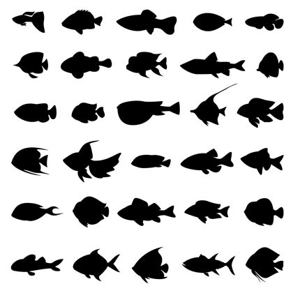 淡水鱼的轮廓黑白相间一套单色风格的海洋动物插图自然轮廓水族