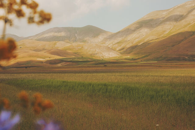 土地山边的棕色和绿色的田野高原乡村草原