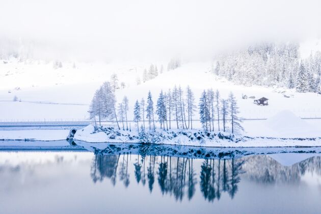冰湖面上白雪皑皑的树木倒映在清澈的碧水中 令人着迷光乡村木