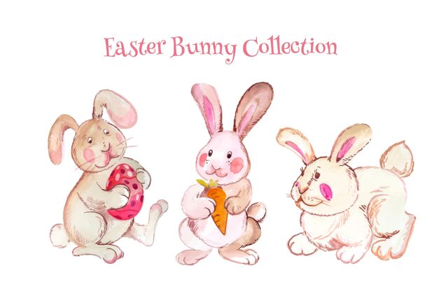 教复活节兔子系列水彩画Pascha插画复活节兔子