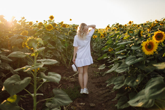 阳光一个穿着白裙子的金发女人在田里和向日葵在一起日落年轻妈妈