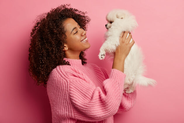 微型快乐微笑的女人双手抱着一只微型狗 愉快而微笑地看着 发现了流浪的宠物 穿着针织套头衫 在粉红色的墙上摆姿势 表达积极的情绪女主人玩模型