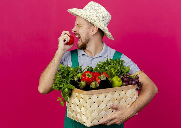 深红色年轻英俊的斯拉夫园丁 穿着制服 戴着帽子 手里拿着一篮子蔬菜 正准备咬隔离在深红色墙上的西红柿西红柿年轻蔬菜