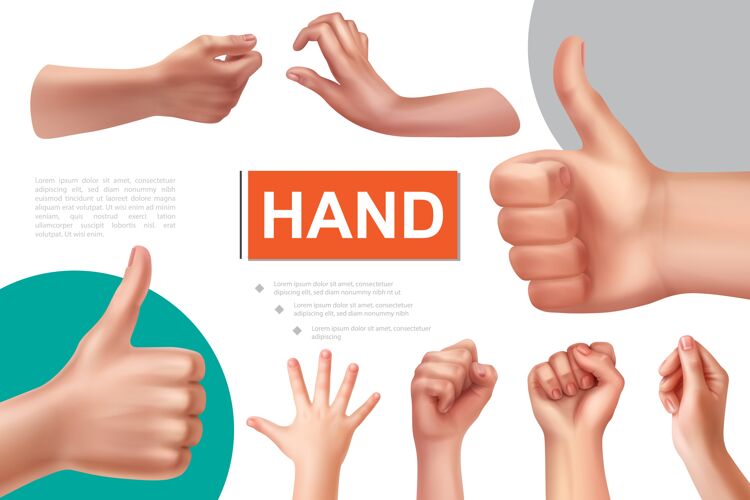 幻灯片真实的手势与女性拳头组成好的标志拿和拿东西的手手势现实好